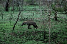 2005 Zuid Afrika 09